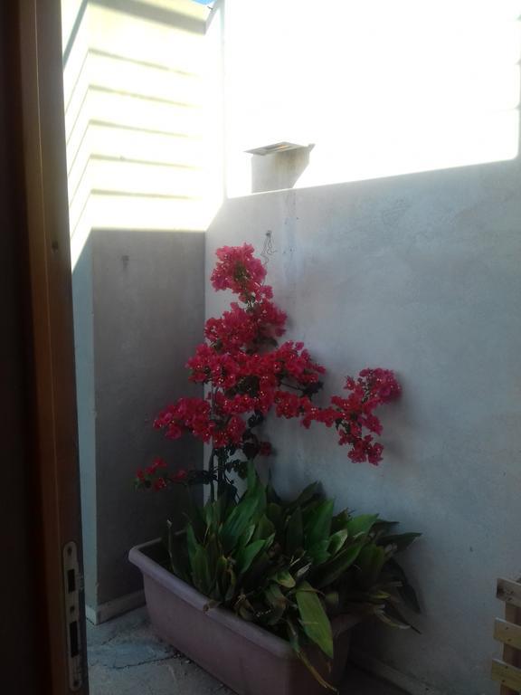 Villa Casa Dei Fenicotteri Marausa Exterior foto